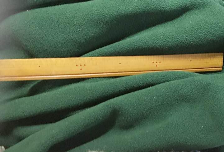 Bamboo ruler