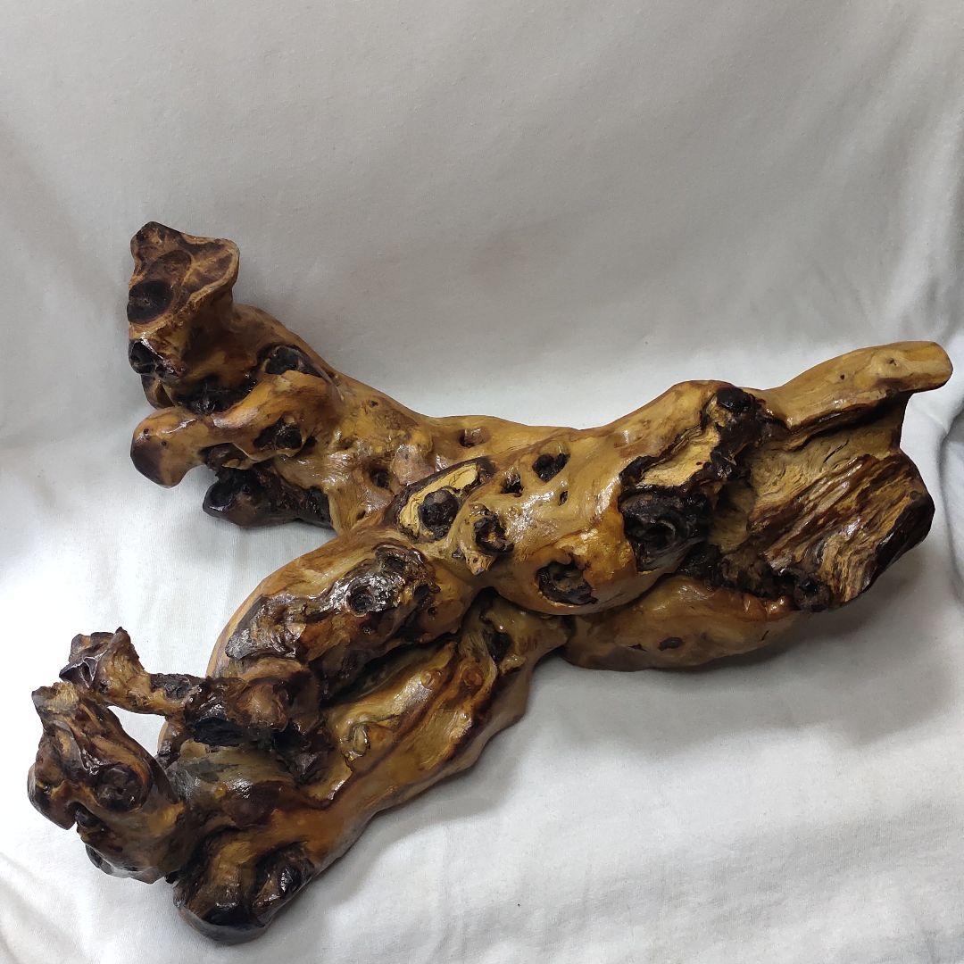 Getting out natural tree lump tree root stand bonsai stand