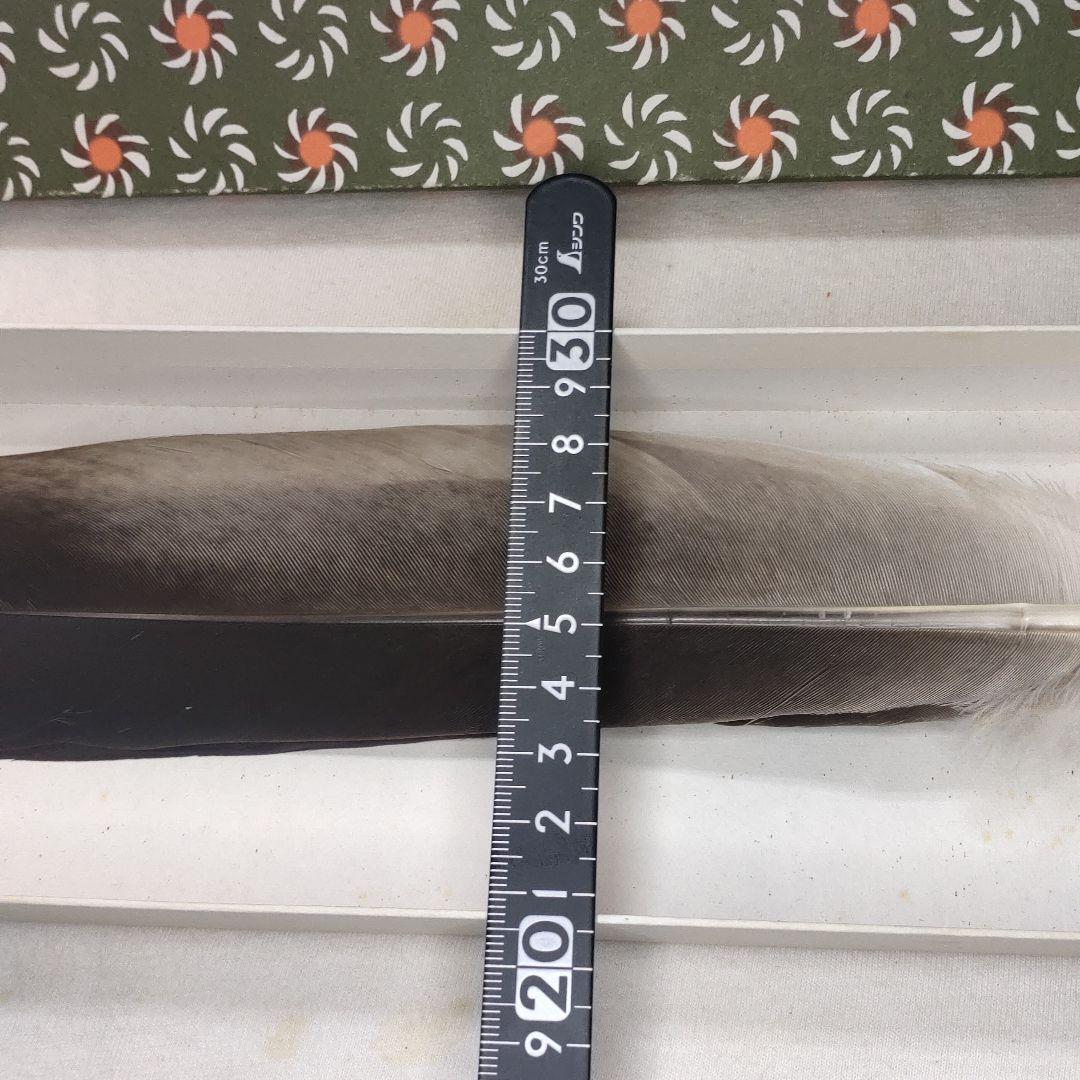 Tea Utensils, Feather Brooms, For Furnace, Kotsuru, With Box,