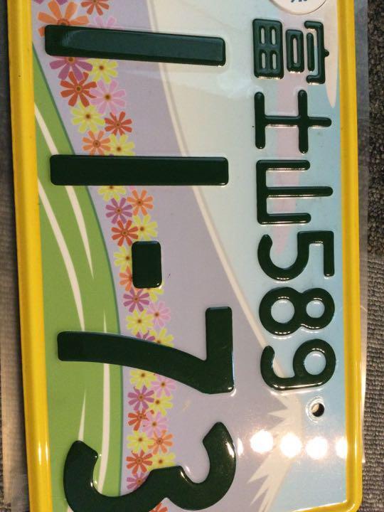 Light car license plate Mt. Fuji number 1173 back print Fujisan