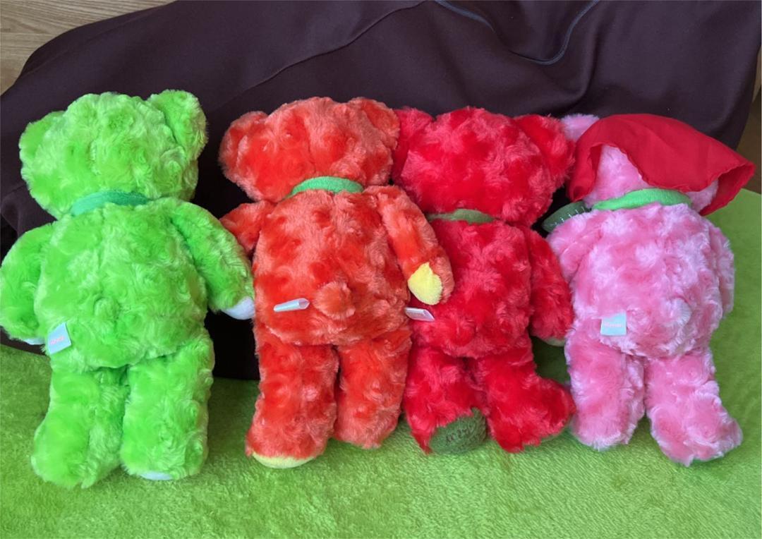 Local bear plush toy Shizuoka bear 4 body set