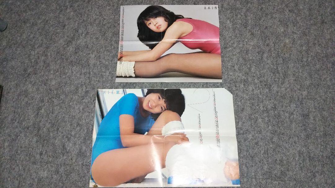 March 1983 Medicinal Appendix Poster Akina Nakamori Chiemi Hori Junk