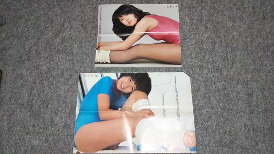 March 1983 Medicinal Appendix Poster Akina Nakamori Chiemi Hori Junk