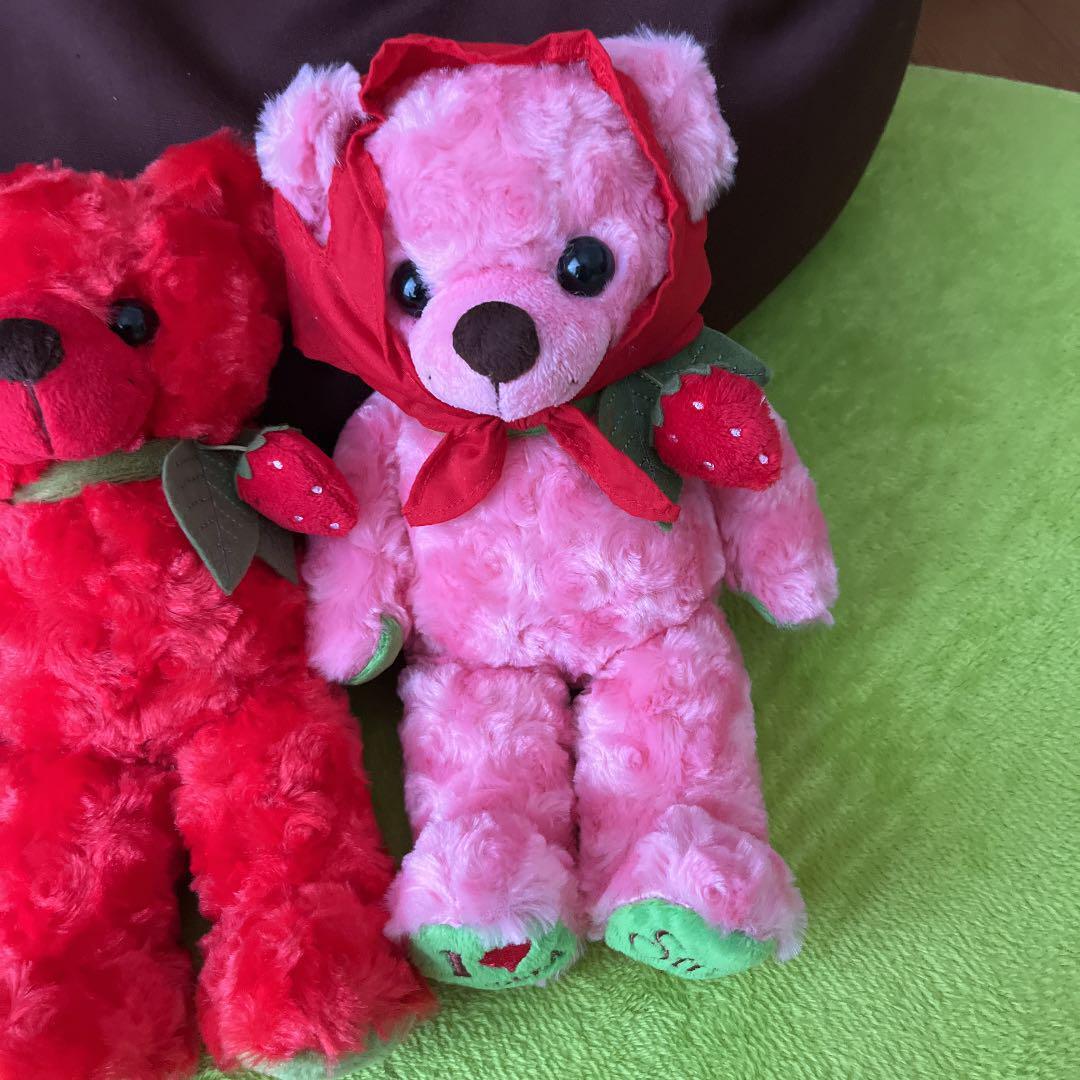 Local bear plush toy Shizuoka bear 4 body set