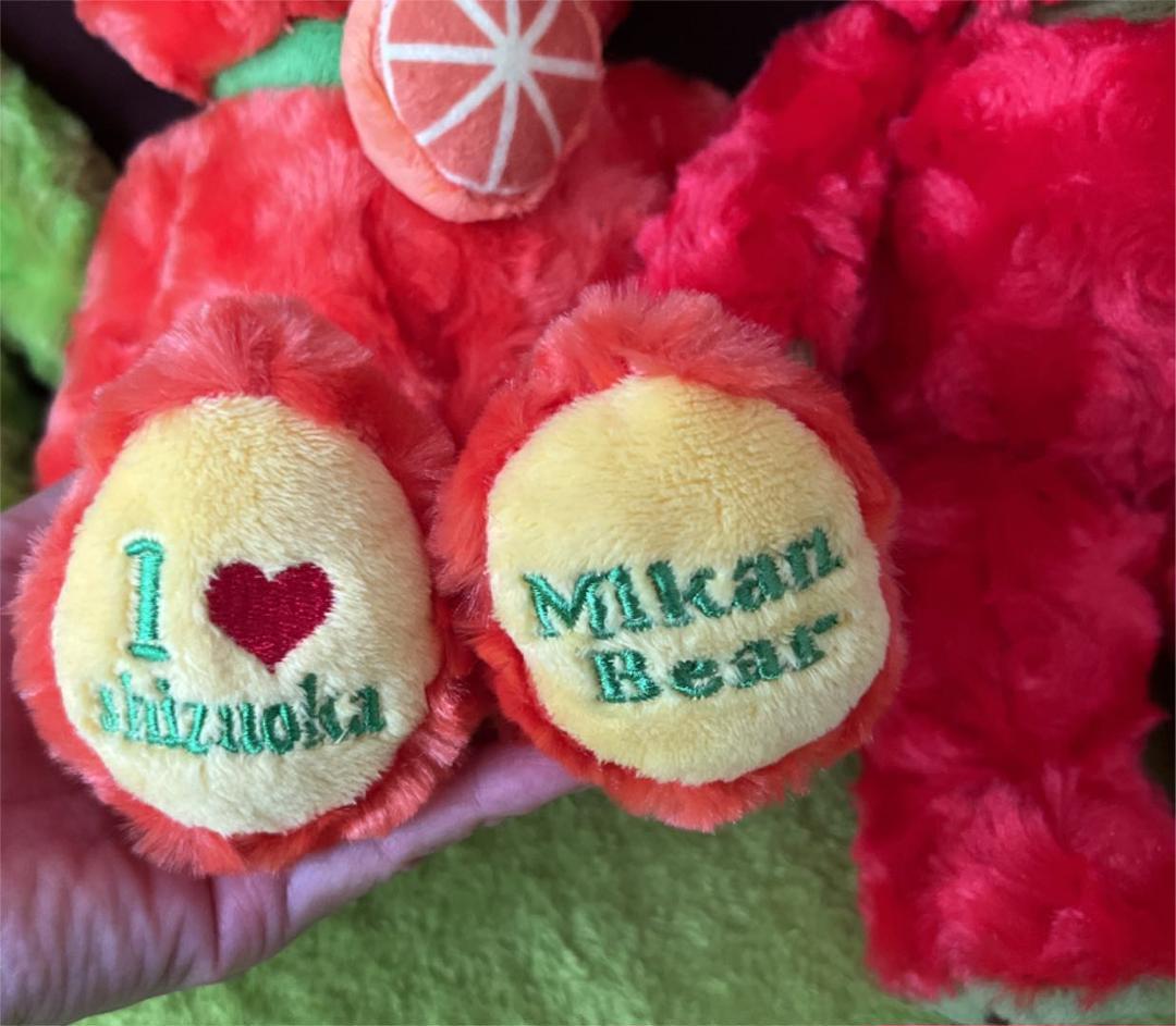 Local bear plush toy Shizuoka bear 4 body set