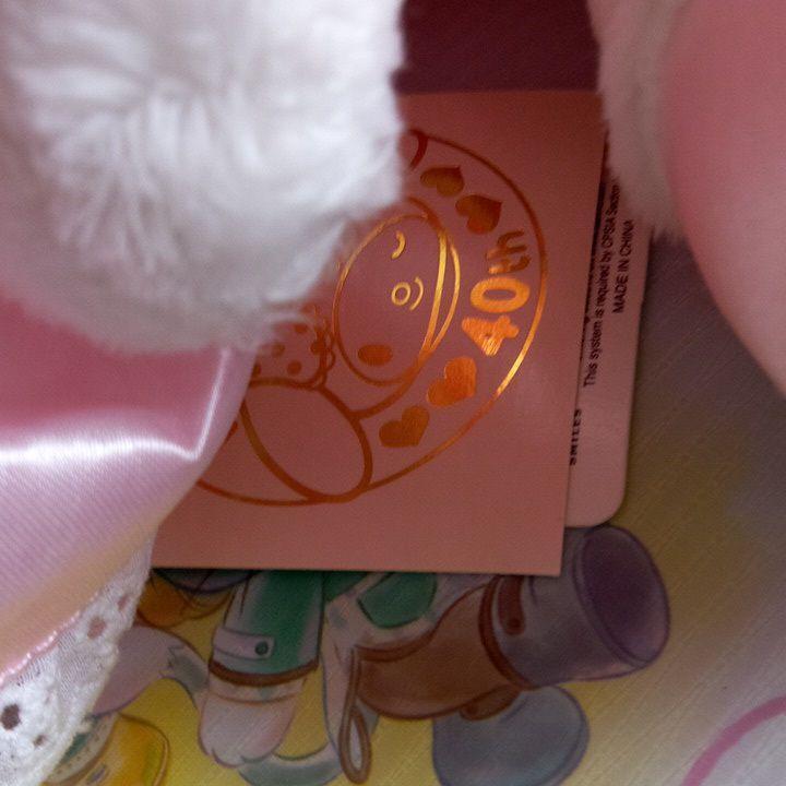 Sanrio My Melody 40th stuffed toy ♪Rose Labyrinth dressing series♪