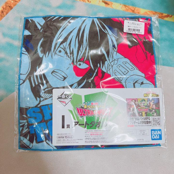 My Hero Academia Todoroki Set
