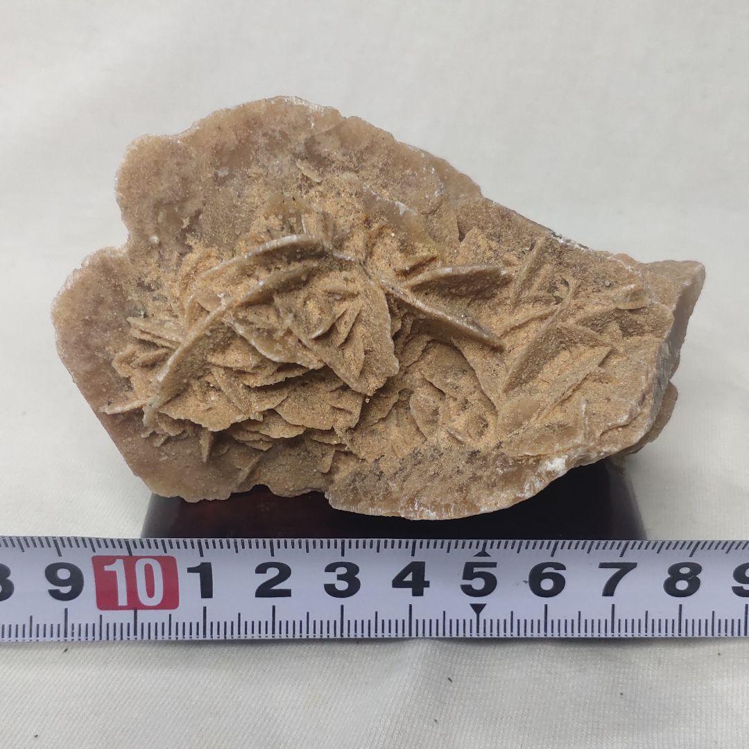Desert rose Desert rose Rough stone Rosewood figurine with stand Natural stone