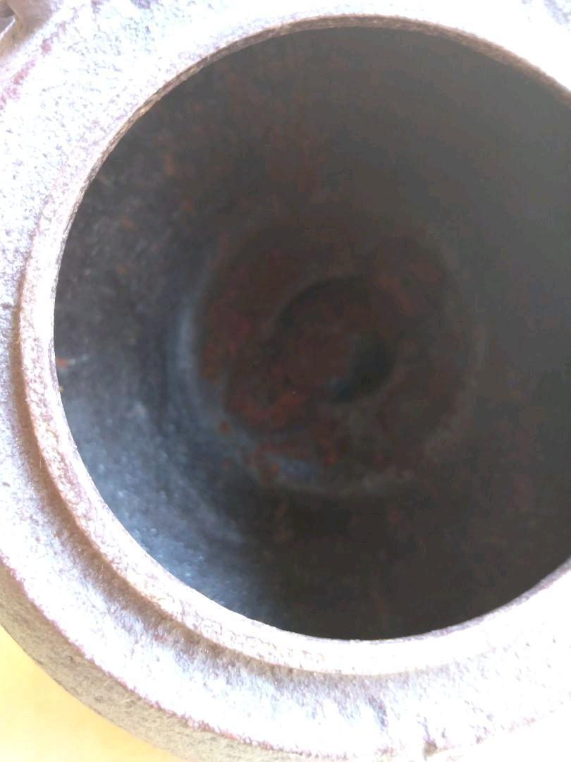 Masterpieces of tea utensils, Taguchi Iron Kettle (made by Shojudo)