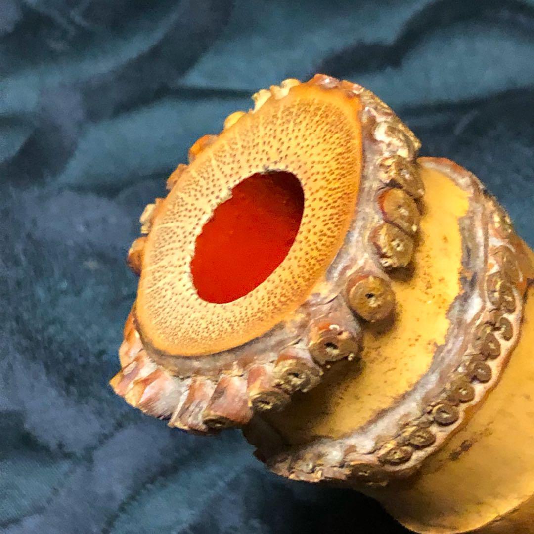Shakuhachi Kinko-ryu 1-shaku 8-sun pipe Mumei No looseness