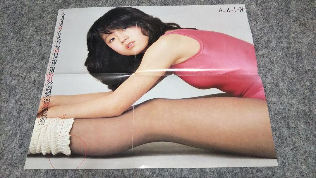 March 1983 Medicinal Appendix Poster Akina Nakamori Chiemi Hori Junk