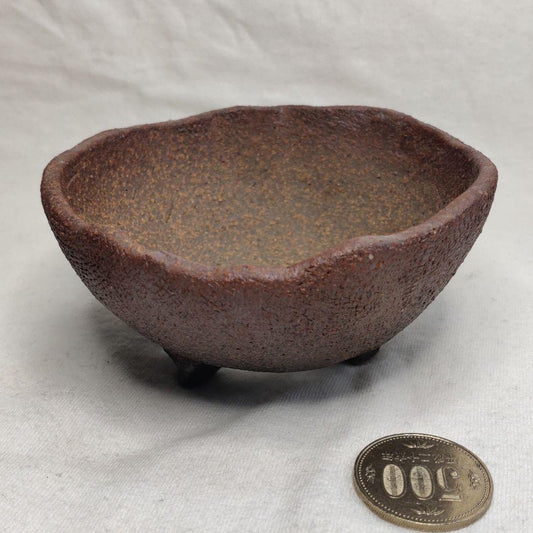 Bonsai pots Flowerpots Tokoname ware Grandchildren Handmade writers