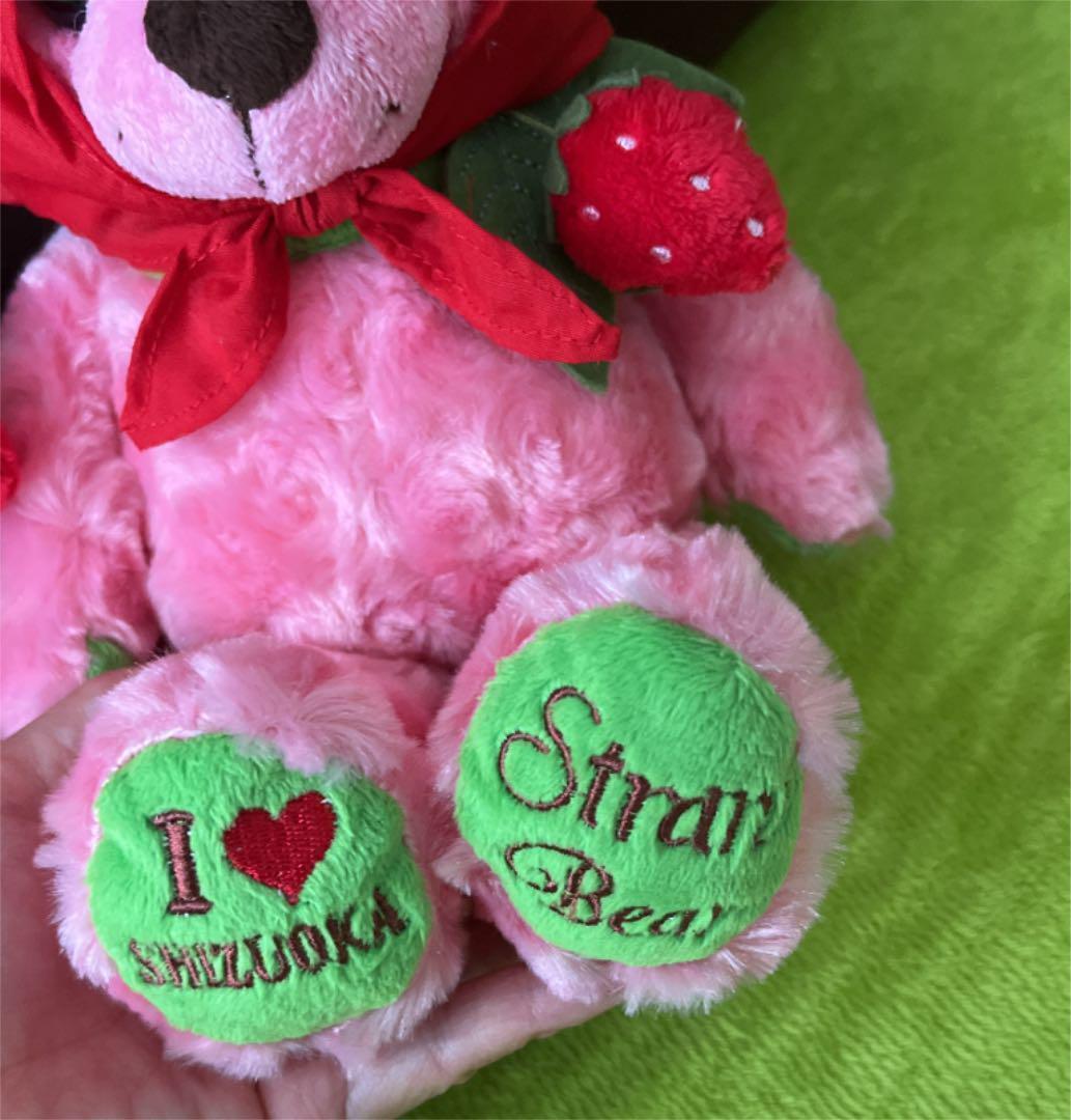 Local bear plush toy Shizuoka bear 4 body set