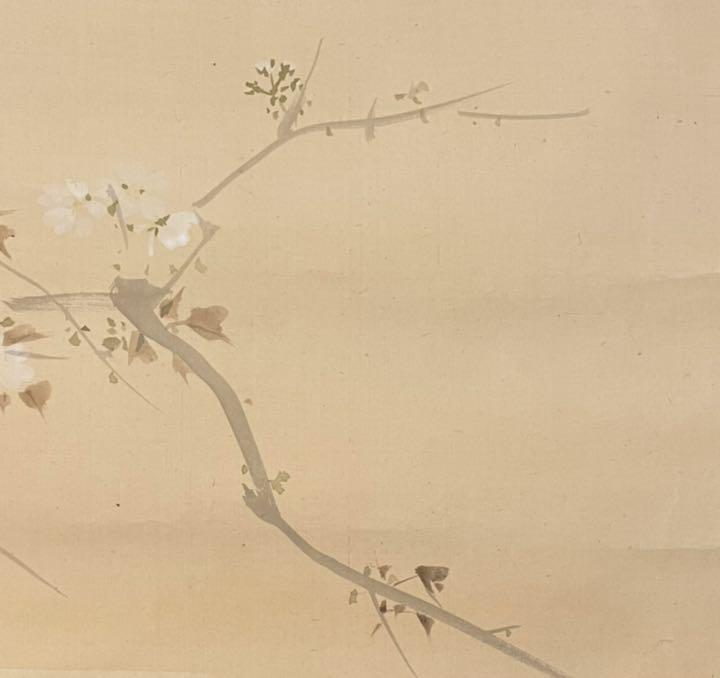Hanging scroll Hanging scroll Hanko Kajita Yamazakura JAPAN