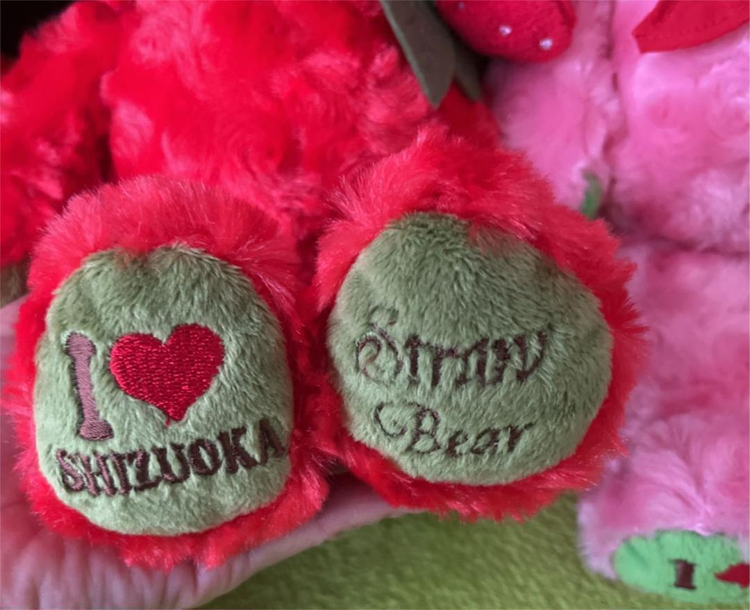 Local bear plush toy Shizuoka bear 4 body set