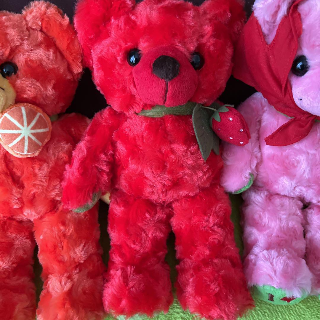 Local bear plush toy Shizuoka bear 4 body set