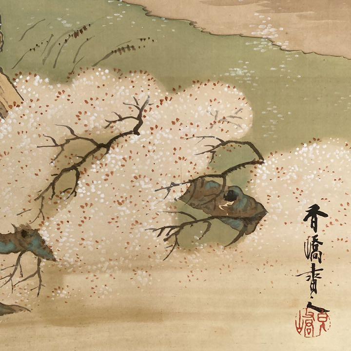 1887! ️Sakura loved by the military commander! ️Kakejiku Nikuhitsu JAPAN