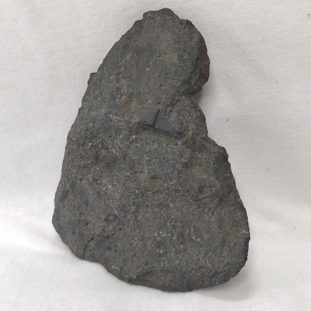 Ancient stone tools Excavated from Aomori Stone ax Lithic reduction Jomon