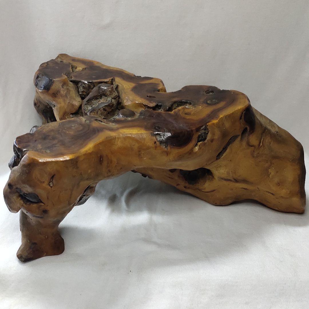 Getting out natural tree lump tree root stand bonsai stand