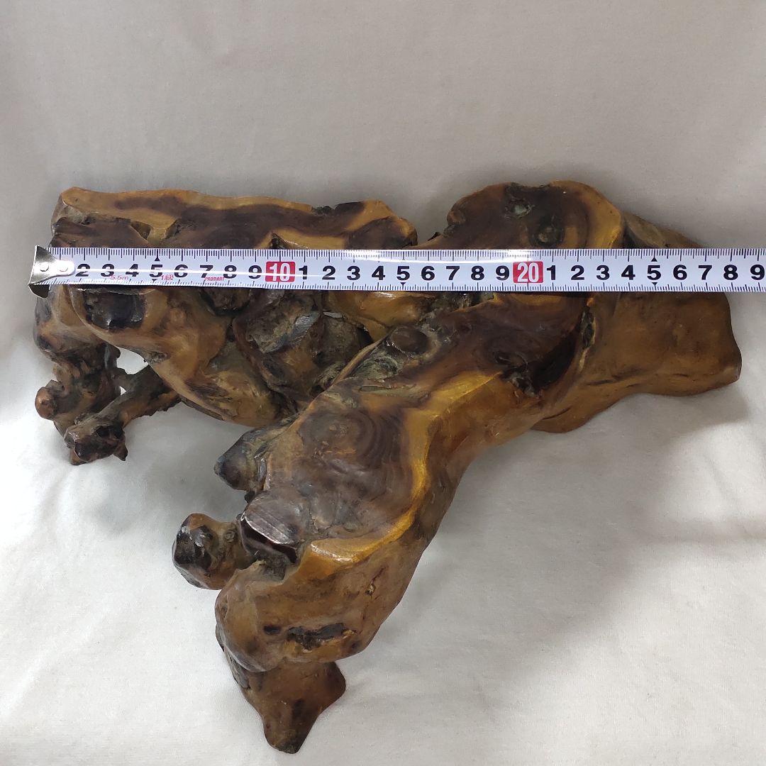 Getting out natural tree lump tree root stand bonsai stand