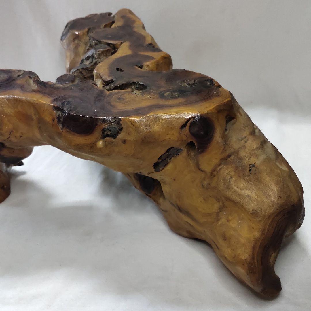 Getting out natural tree lump tree root stand bonsai stand