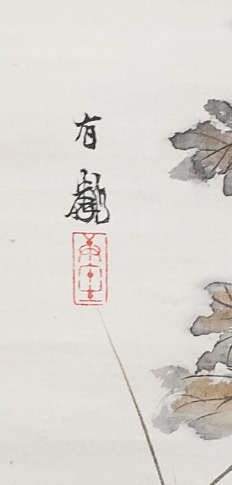 Hanging scroll [Chrysanthemum] Yune Ishikawa 2529 Kiku JAPAN