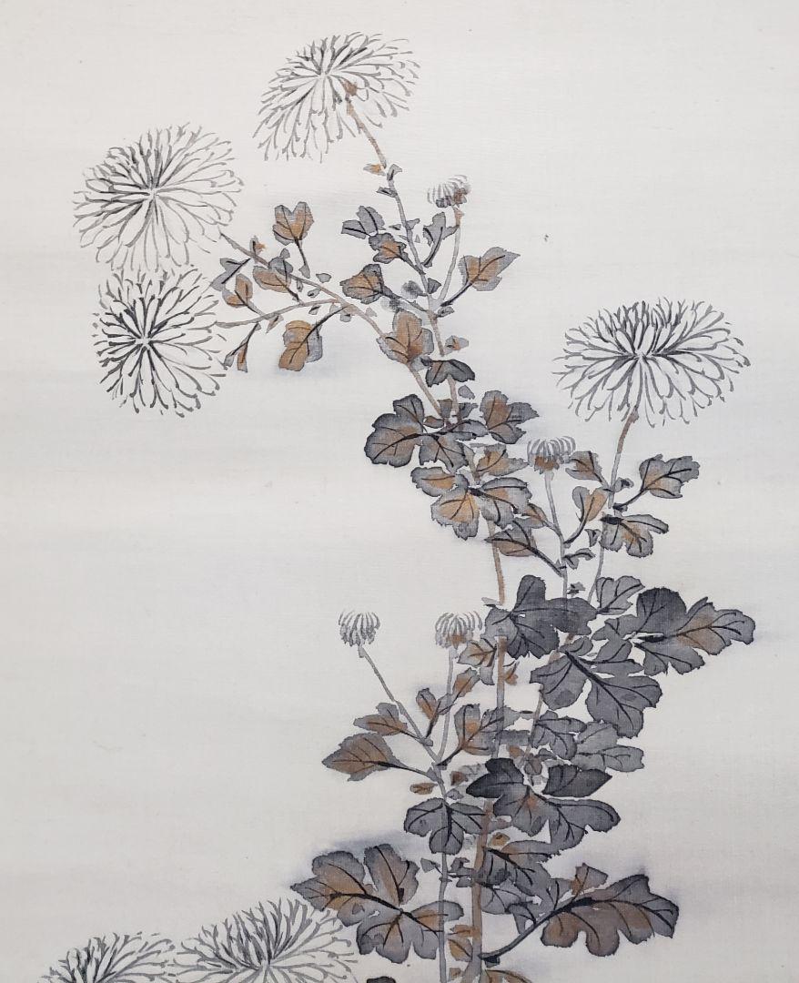 Hanging scroll [Chrysanthemum] Yune Ishikawa 2529 Kiku JAPAN