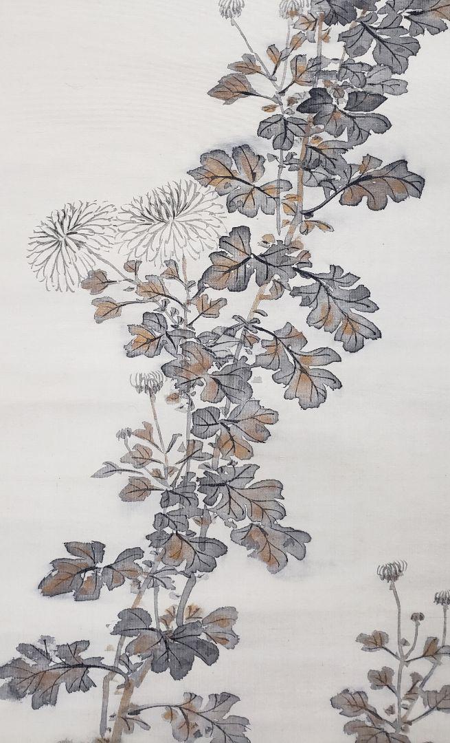 Hanging scroll [Chrysanthemum] Yune Ishikawa 2529 Kiku JAPAN